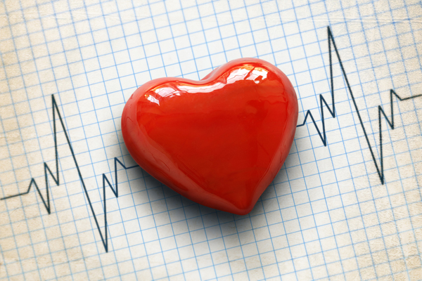 Cardiogram pulse trace and heart concept for cardiovascular medical exam